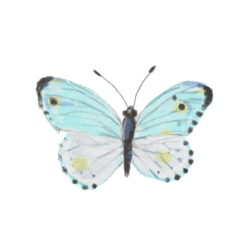 Sluitzegels Vlinder lichtblauw