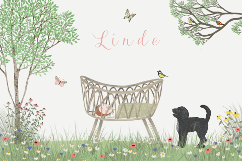 Geboortekaartje Labradoodle wiegje vlinders zomer