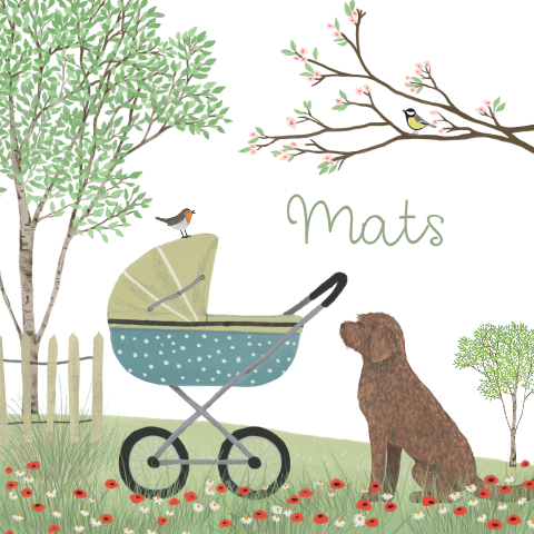 Geboortekaartje kinderwagen Labradoodle klaprozen hond lente