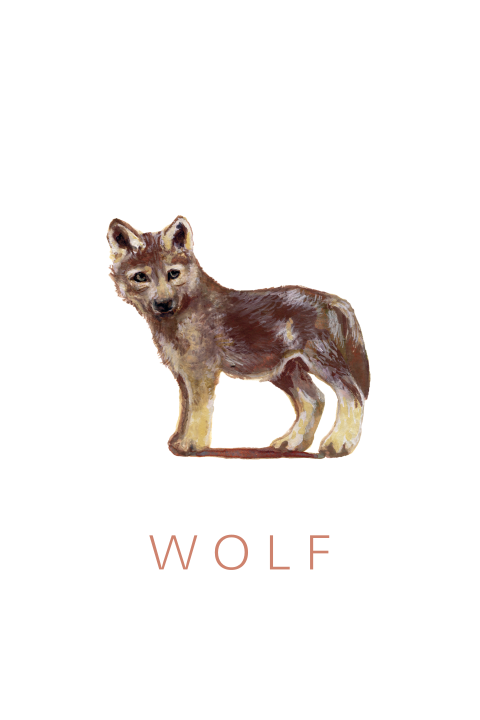 Geboortekaartje jonge wolf