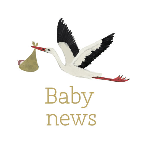 Sluitzegels Ooievaar vliegend