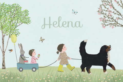 Geboortekaartje Optocht zusje Berner Sennen hond