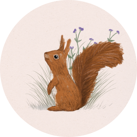 Sluitzegels Eekhoorntje veldbloemen
