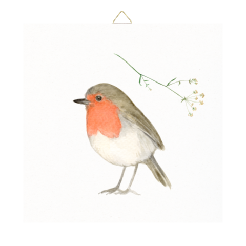 Tegeltje Roodborstje en schermbloem waterverf
