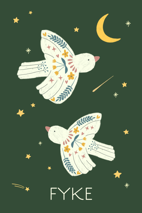Studio WAM, Jongens geboortekaartje Fyke - Birds by night - Vogeltjes