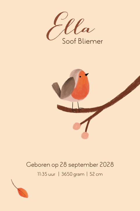 Kaart binnenkant