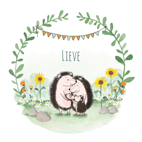 Geboortekaartje Lieve | Zoet geboortekaartje met egeltjes