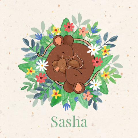 Geboortekaartje Sasha | Slapende muisjes