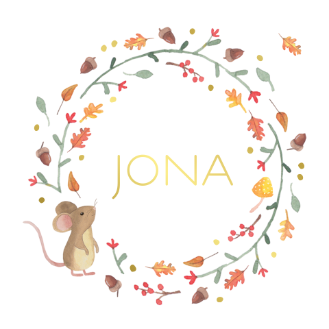 Geboortekaartje Jona  |  Muisje in een cirkel van herfst bladeren