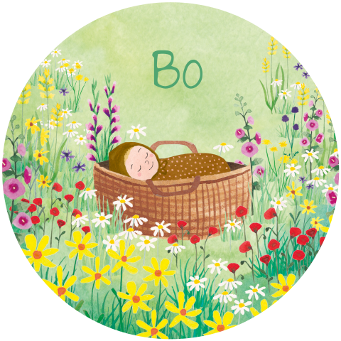 Geboortekaartje Bo | Mandje in bloemenveld