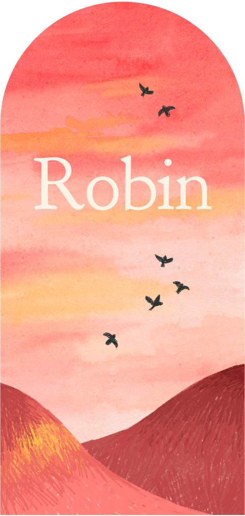 Geboortekaartje Geboortekaartje Robin | Vogeltjes in mooie avond lucht