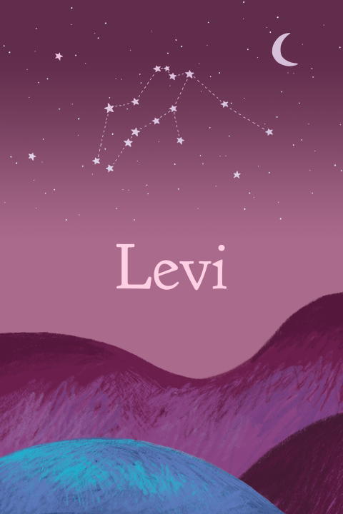 Geboortekaartje Levi | Sterrenbeeld boven bergen in de nacht