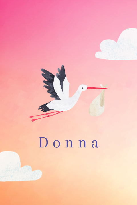 Geboortekaartje Donna  |  Ooievaar in avond lucht