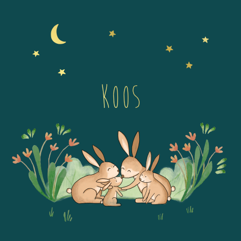 Geboortekaartje Koos | Konijntjes onder sterrenhemel
