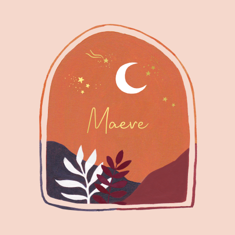 Geboortekaartje Maeve | Landschap in raampje