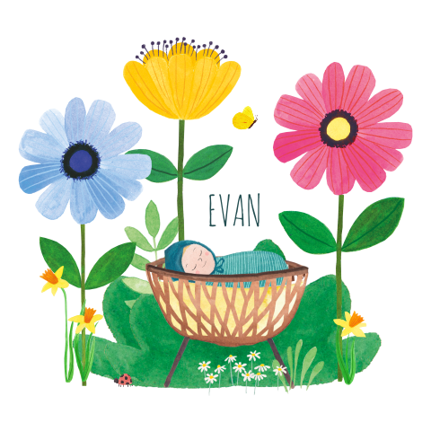 Geboortekaartje 'Evan' met vrolijke kleuren en een wiegje in de natuur