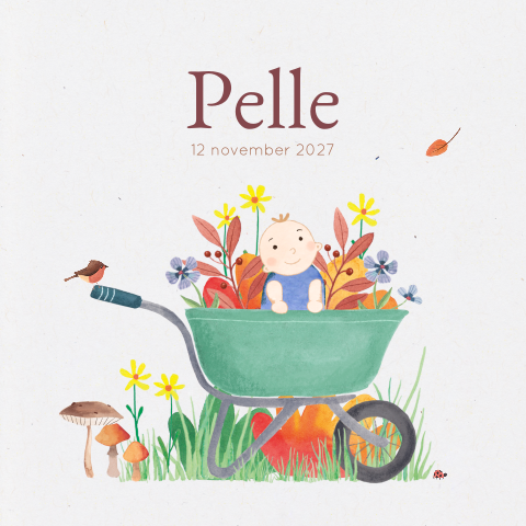 Geboortekaartje Pelle - Kindje in kruiwagen herfst