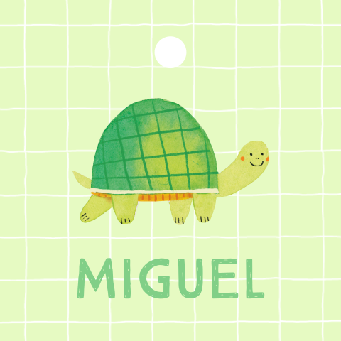 Labelkaartje voor doopsuiker met ruit patroon en schildpad