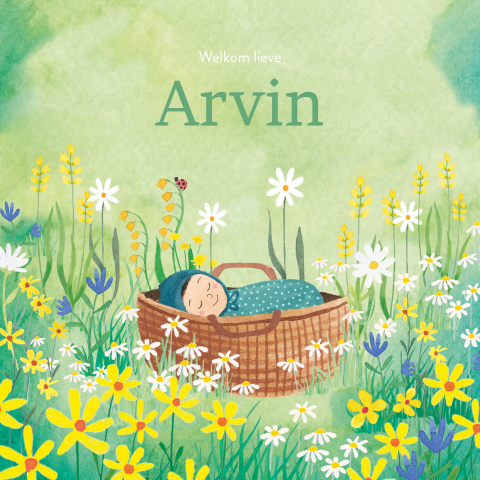 Geboortekaartje Arvin | Baby in bloemenveld