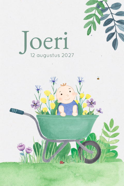 Geboortekaartje Joeri - Kindje in kruiwagen