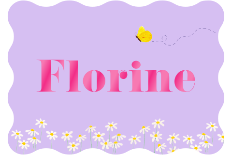 Colorblocking geboortekaartje 'Florine' |  Vlinder met madeliefjes