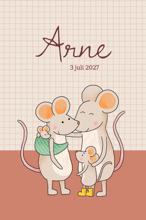 Geboortekaartje Arne  |  Muisjes in retro stijl