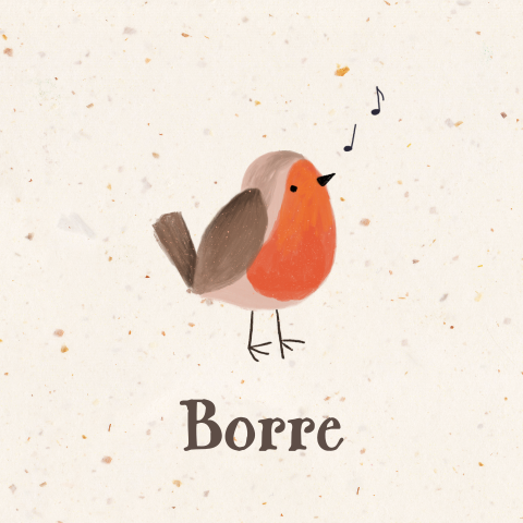 Geboortekaartje met roodborstje 'Borre',  genderneutraal en aanpasbaar