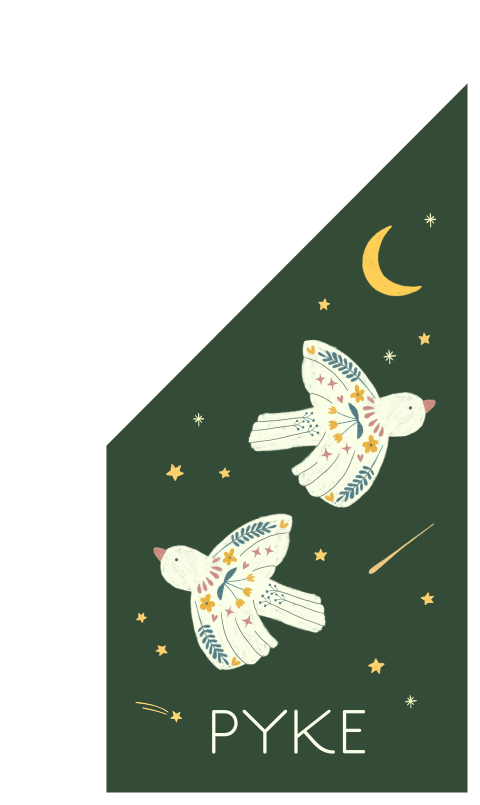 Geboortevlag Pyke  |   Birds by night