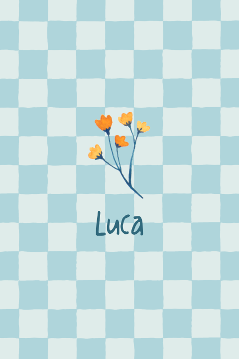 Geboortekaartje Luca  |  Retro geblokt bloemetje
