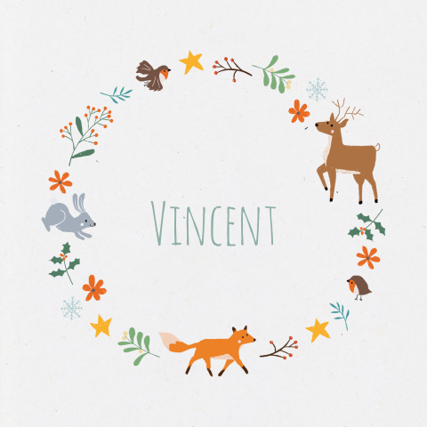 Geboortekaartje Vincent - Winter cirkel