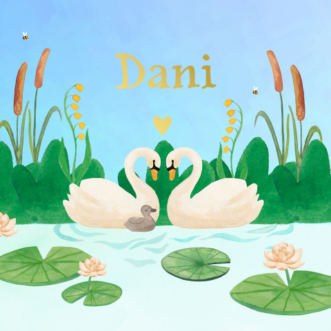 Geboortekaartje 'Dani' | Zwaantjes met goudfolie