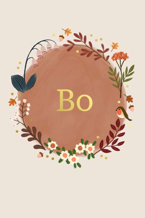 Geboortekaartje Bo  |  Herfst cirkel