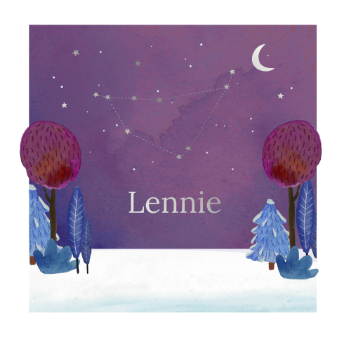 Geboortekaartje Lennie - Sneeuw landschap