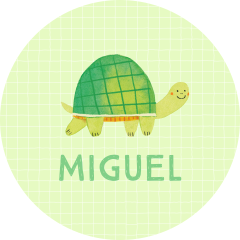 Ronde geboorte raamsticker Miguel - Vrolijke schildpad