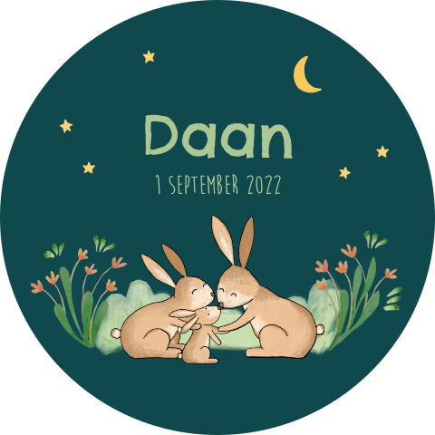 Raamsticker Daan