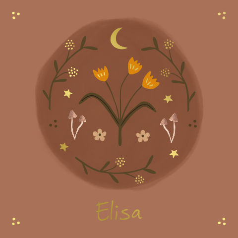 Geboortekaartje Elisa