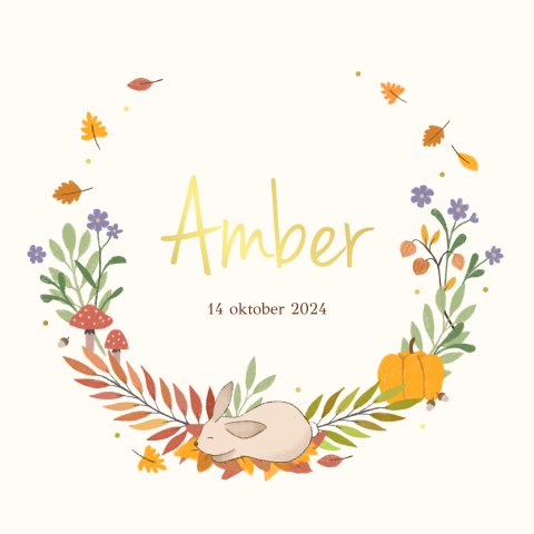 Geboortekaartje Amber - Herfstkonijntje