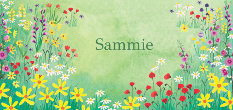 Zomer geboortekaartje  'Sammie' | Wildflower bloemenveld in aquarel