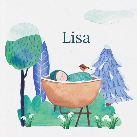 Geboortekaartje Lisa  |  Winter wiegje
