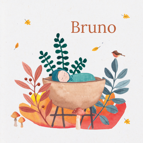 Duurzaam herfst geboortekaartje Bruno, Wiegje, Natuur, Genderneutraal