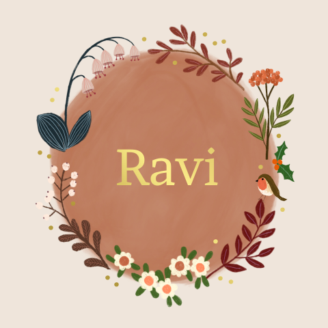 Geboortekaartje Ravi | Winter cirkel