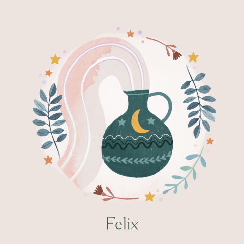Geboortekaartje Felix | Sterrenbeeld Waterman