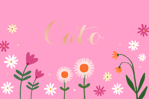 Retro geboortekaartje met bloemen