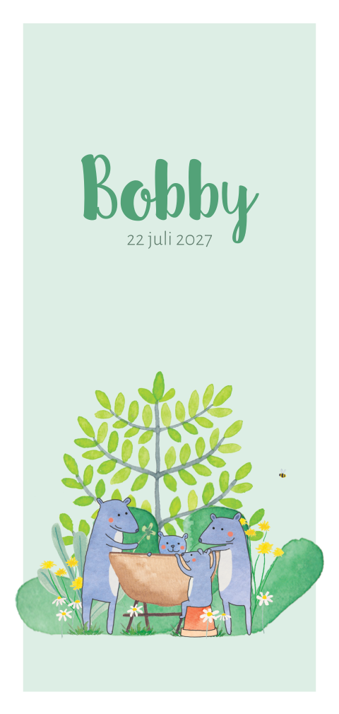 Geboortekaartje Bobby  |  Familie in het groen