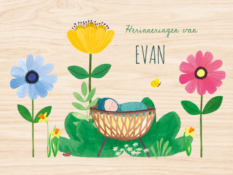 Memorybox 'Evan' | Houten bewaardoos met natuur illustratie en wiegje