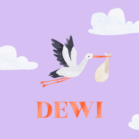 Geboortekaartje Dewi | Trendy colorblocking met ooievaar