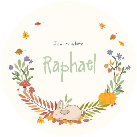 Studio WAM, Rond geboortekaartje Raphael, Herfst, Konijn, Natuur