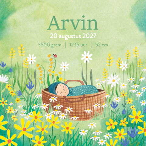 Geboorte tegeltje met baby in een mandje tussen de bloemen