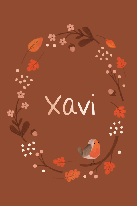 Geboortekaartje Xavi | Retro herfst met roodborstje