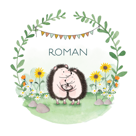 Geboortekaartje Roman | Ronde vorm met egeltjes